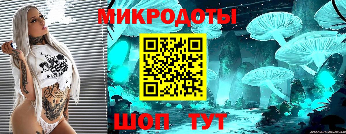 купить наркотик  Галлюциногенные грибы мухоморы  Вход с VPN  Галлюциногенные грибы Psilocybe  Курчатов 