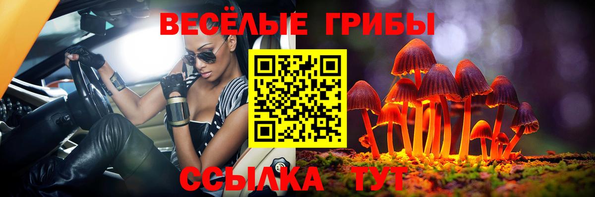 Псилоцибиновые грибы Magic Shrooms Курчатов